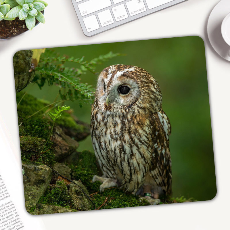 Cute Animal Owl Gaming Mouse P - Gaming Accessories On Sale review and price