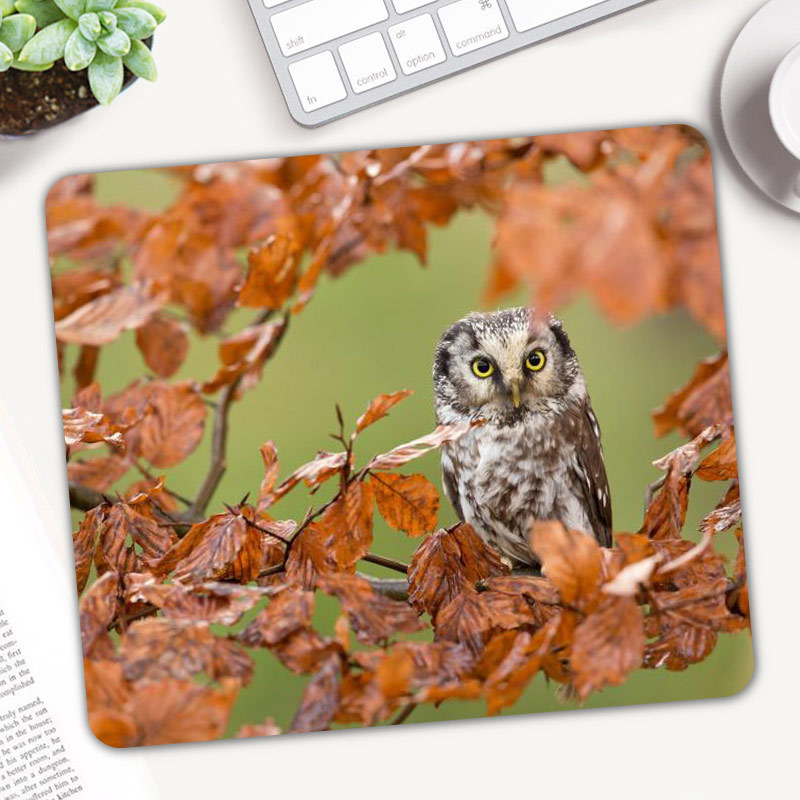Cute Animal Owl Gaming Mouse P - Gaming Accessories On Sale review and price
